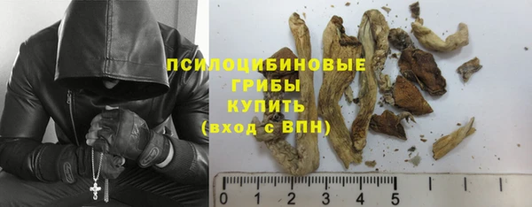 jwh Бородино