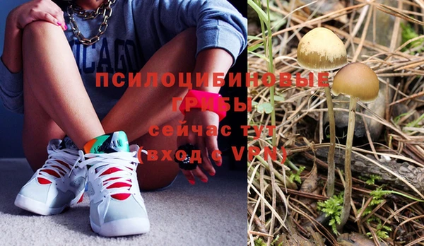 сатива Бугульма
