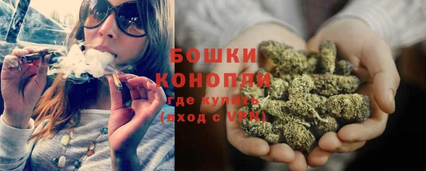 сатива Бугульма