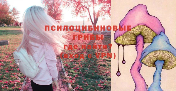 jwh Бородино
