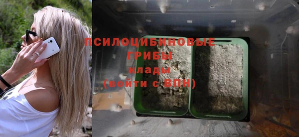 сатива Бугульма