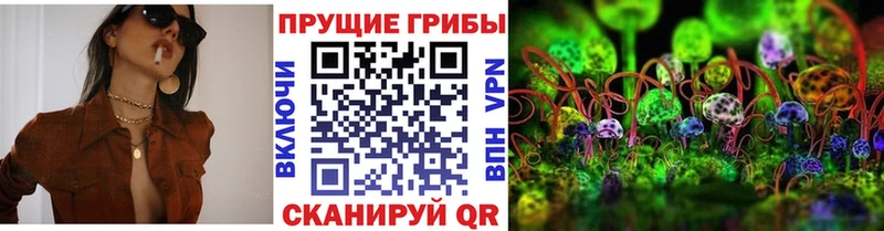 Галлюциногенные грибы Psilocybe Валуйки
